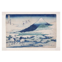 Obrazová reprodukce Umezawa Manor in Sagami Province (S?sh? umezawa hidari), Hokusai, Katsushika