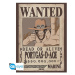 Set 2 plakátů One Piece - Wanted Luffy & Ace (52x38 cm)