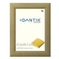 DANTIK rámeček 21 × 29,7, LEDVINKA přírodní sklo čiré