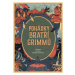 Pohádky bratří Grimmů - Jacob Grimm, Wilhelm Grimm