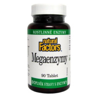 Mega Enzymy tbl.90 Natural Factors