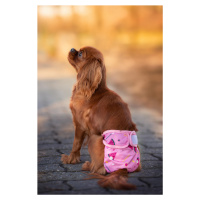 Vsepropejska Táňa hárací kalhotky pro psa Barva: Růžová, Obvod slabin (cm): 32 - 46