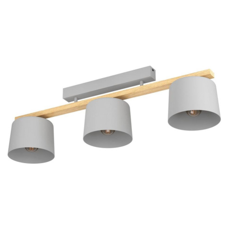 Eglo 900361 - Přisazený lustr MARIEL 3xE27/40W/230V 900361