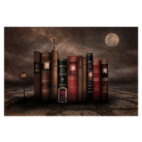 Fotografie night library, Muriel Vekemans, 40 × 26.7 cm