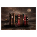 Fotografie night library, Muriel Vekemans, 40 × 26.7 cm