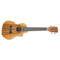 Tanglewood TWT 13 E (rozbalené)