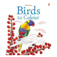 Birds to colour Usborne Publishing