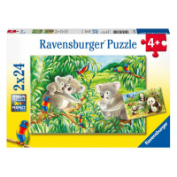 Ravensburger Koaly a p,y 2 x 24 dílků