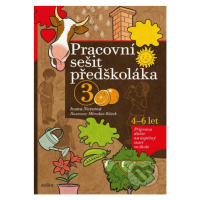 Pracovní sešit předškoláka 3 (Příprava dítěte na úspěšný start ve škole) - kniha z kategorie Úko