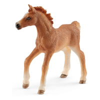 SCHLEICH - Hříbě s přikrývkou