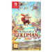 The Eternal Life of Goldman (Switch)