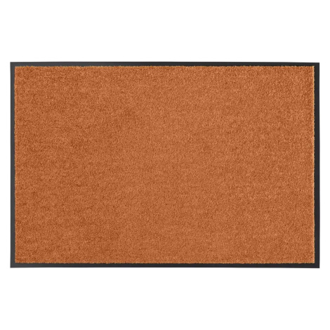 Hanse Home Rohožka Wash & Clean 101469 hnědá 120x180 cm
