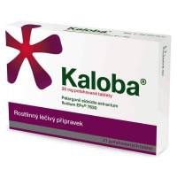 Kaloba 20 Mg 21 tablet