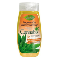 BIONE COSMETICS Bio Cannabis Regenerační výživný šampon 260 ml