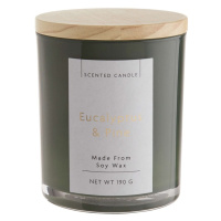 SCENTED CANDLE Vonná svíčka Eucalyptus & Borovice