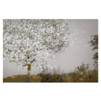 Ilustrace Fruit tree, Nel Talen, 40x26.7 cm
