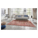 Nouristan - Hanse Home koberce Kusový koberec Asmar 104018 Orient/Red - 200x290 cm