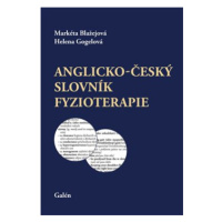 Anglicko-český slovník fyzioterapie - Markéta Blažejová, Helena Gogelová