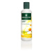 HERBATINT Chamomile Shampoo 260 ml