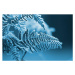 Fotografie A blue monochromatic photo of frozen fern leaves, s5iztok, 40 × 26.7 cm