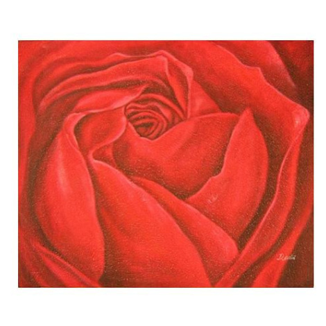 Obraz - Detail rozvité růže FOR LIVING