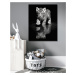 Obrazy na stěnu - Černobílý tygřík Rozměr: 40x50 cm, Rámování: vypnuté plátno na rám