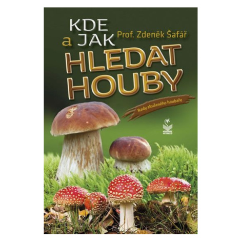 Kde a jak hledat houby - Rady zkušeného houbaře