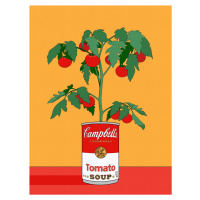 Ilustrace Campbells Soup Tomato Plant Retro Illustration, Retrodrome, (30 x 40 cm)