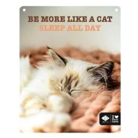 EBI D&D I love happy cats Kovová tabulka: ,,Be more like a cat sleep all day