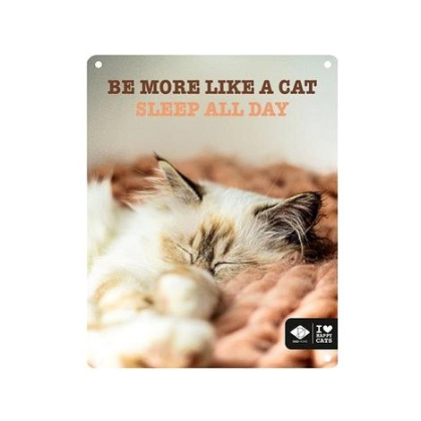 EBI D&D I love happy cats Kovová tabulka: ,,Be more like a cat sleep all day" 20 × 25 cm