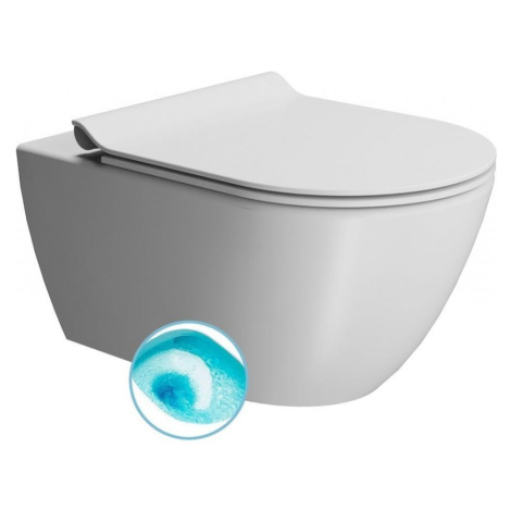 GSI - PURA závěsná WC mísa, Swirlflush, 36x55cm, bílá dual-mat 881509