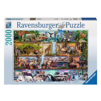 Puzzle 2000 dílků Království divokých zvířat