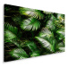 MyBestHome BOX Plátno Zelené Palmové Listy Varianta: 100x70