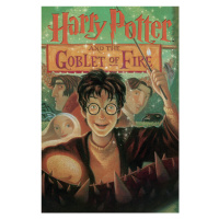 Umělecký tisk Harry Potter - Goblet of Fire book cover, 26.7x40 cm