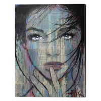 Obraz na plátně Loui Jover - Creations, 2 - 60×80 cm