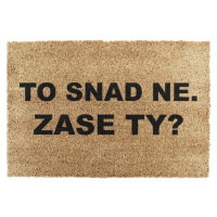 Rohožka z kokosového vlákna 40x60 cm Zase Ty? – Artsy Doormats