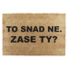 Rohožka z kokosového vlákna 40x60 cm Zase Ty? – Artsy Doormats