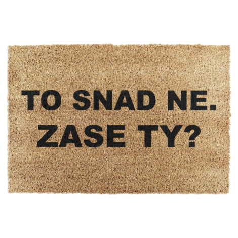 Rohožka z kokosového vlákna 40x60 cm Zase Ty? – Artsy Doormats