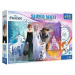 TREFL - Puzzle 24 SUPER MAXI - Disney Frozen 2