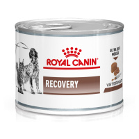 Royal Canin Veterinary Feline Recovery Mousse - 12 x 195 g