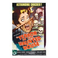 Ilustrace Terror In Haunted House, 26.7 × 40 cm