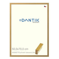 DANTIK rámeček 50 × 70, KASSETTE přírodní lakovaný plexi čiré