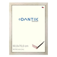 DANTIK rámeček 50 × 70, RETRO bílý plexi čiré