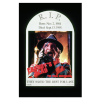 Umělecký tisk Nightmare on Elm Steet - Freddy, (26.7 x 40 cm)