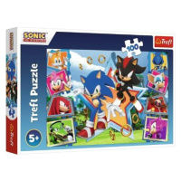 Trefl Puzzle 100 dílků - Seznamte se se Sonicem / SEGA Sonic The Headgehog
