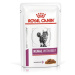 ROYAL CANIN Renal hovězí kapsa pro kočky 12 x 85 g