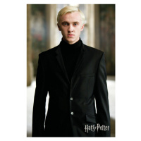 Umělecký tisk Harry Potter - Draco Malfoy, (26.7 x 40 cm)