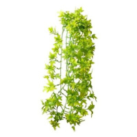 Hobby Ivy popínavá rostlina dekorace do terária 70 cm