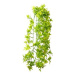 Hobby Ivy popínavá rostlina dekorace do terária 70 cm