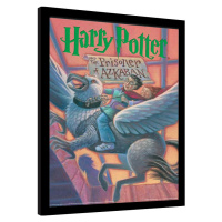 Obraz na zeď - Harry Potter - Vězeň z Azkabanu